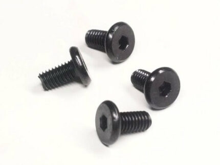 SS4408 Low Profile Chassis Screw M4*8MM (4)